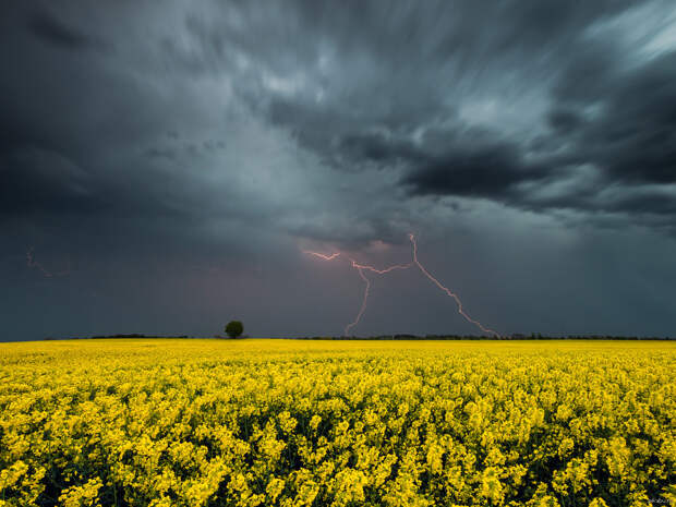 Впечатляющие фотографии грозы весна, гроза, фото