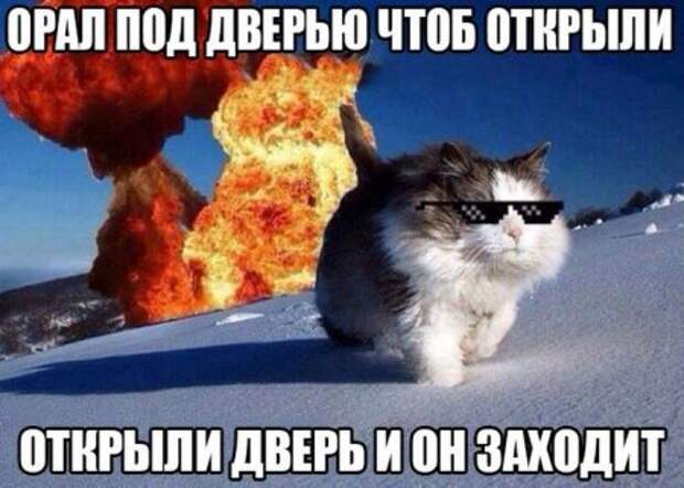 Картинки прикольные, твой жир - твое богатство.