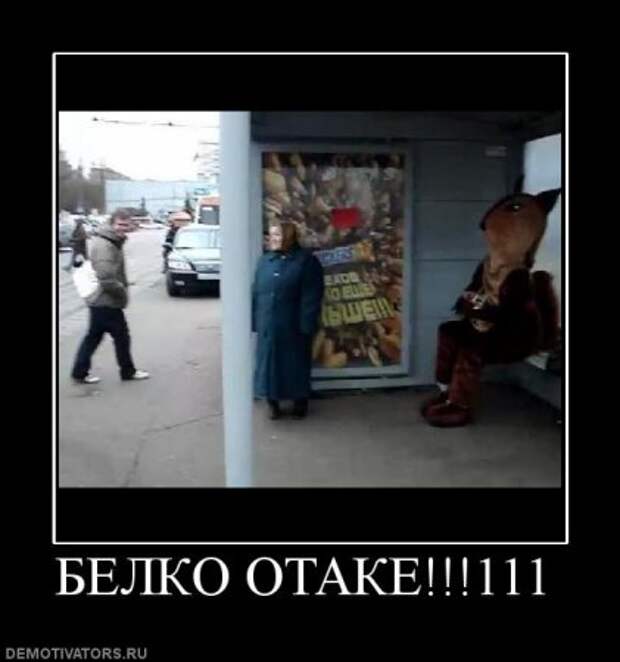 Демотиваторы прикольные ржачные.