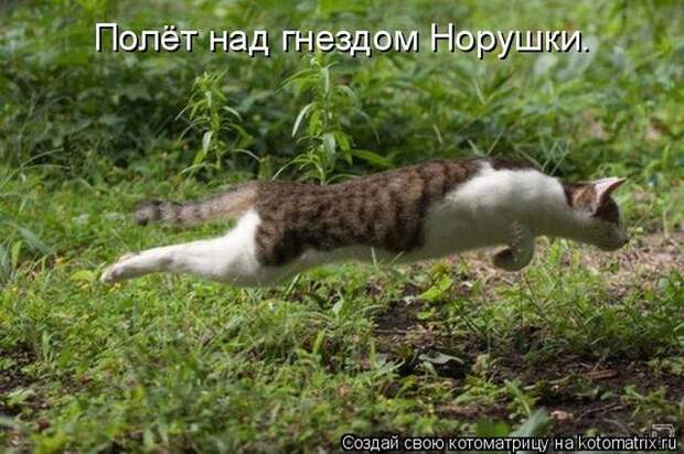 Мысли вслух :)