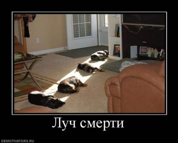 Смешные и только новые демотиваторы!