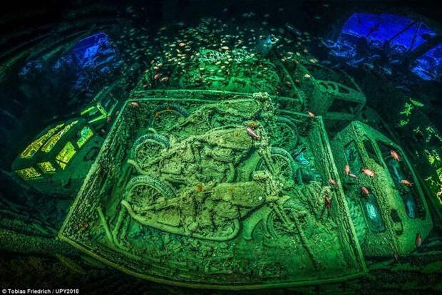 Победитель - снимок потопленного в Красном море британского сухогруза времен Второй мировой войны. Фотограф - Тобиас Фридрих. конкурс, красиво, лучшее, подборка, подводные снимки, подводные фото, фото, фотографы