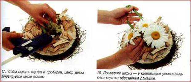 Лето в сумке