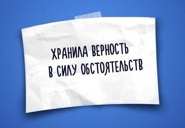 Юмор жизни в одностишьях