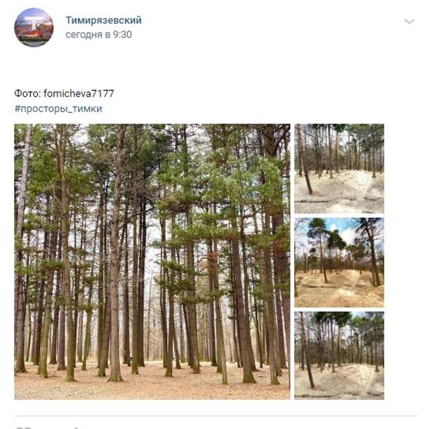 Фото дня: красота в Тимирязевском лесу