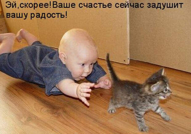 Малыш и маленький котенок котоматрица фото