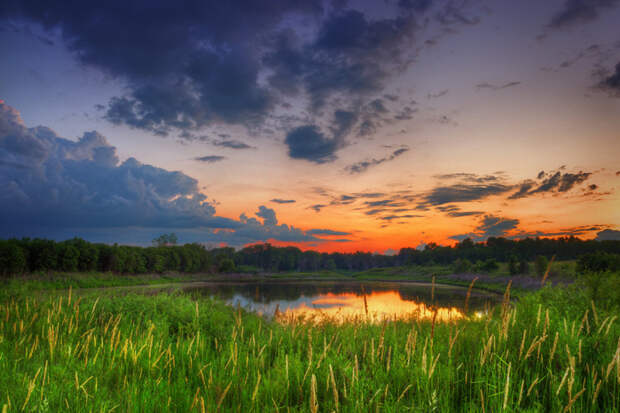 the_colours_of_summer_by_stuzal-d5y209v (700x466, 399Kb)