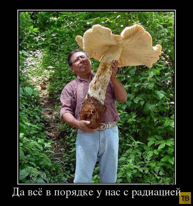 Демотиваторы (30 фото) Демотиваторы (30 фото)