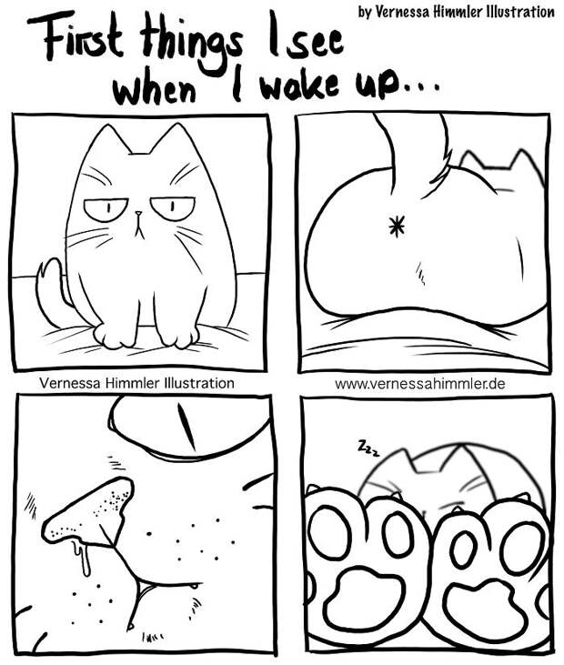 Cat Comics