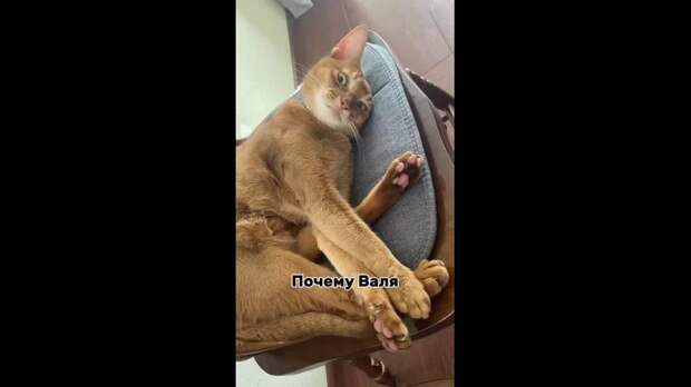 Спокойной ночи Донецк https://t.me/webmoney_dn/311174Video: Клип