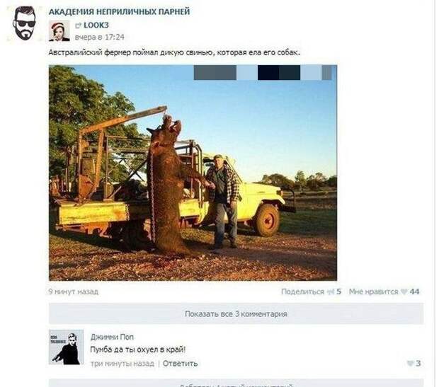 Прикольные комментарии из соцсетей Прикольные комментарии из соцсетей