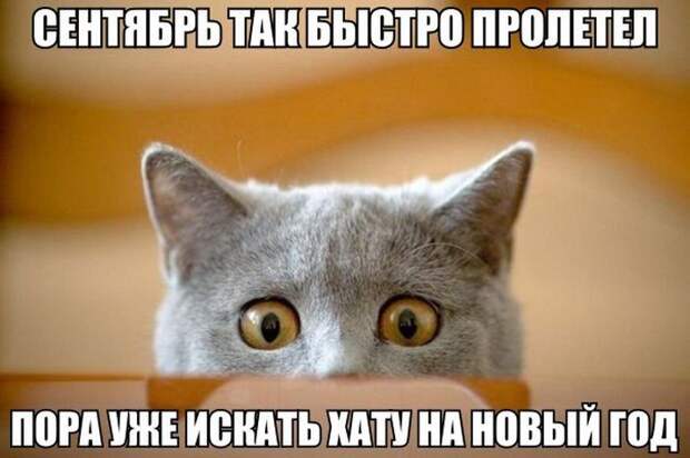 Прикольные картинки. Вечерний выпуск (60 фото)