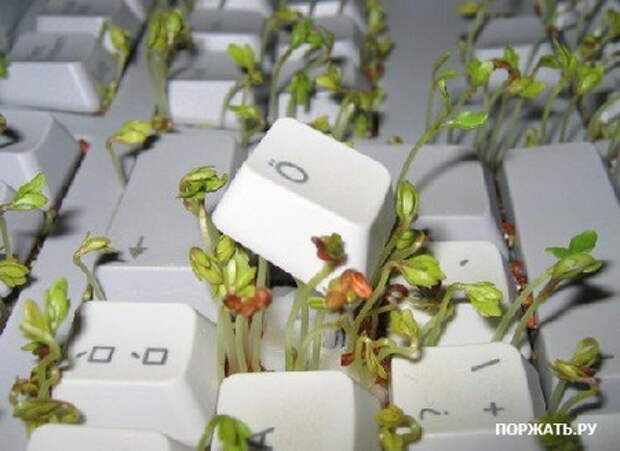 Подборочка фотоприколов (10 фоток)