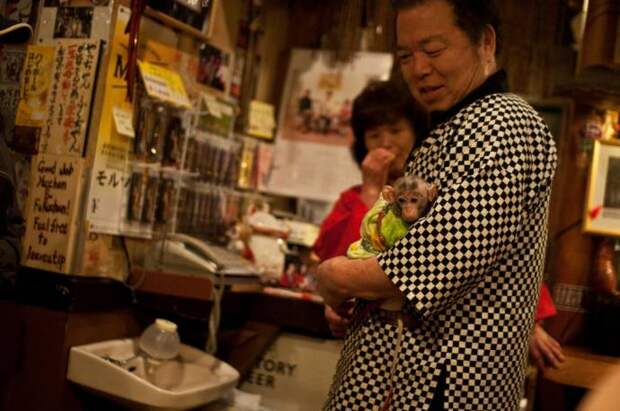 Японский ресторан с интересными официантами (7 фото)