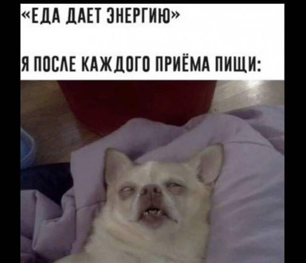 Лучшие шутки и мемы из Сети
