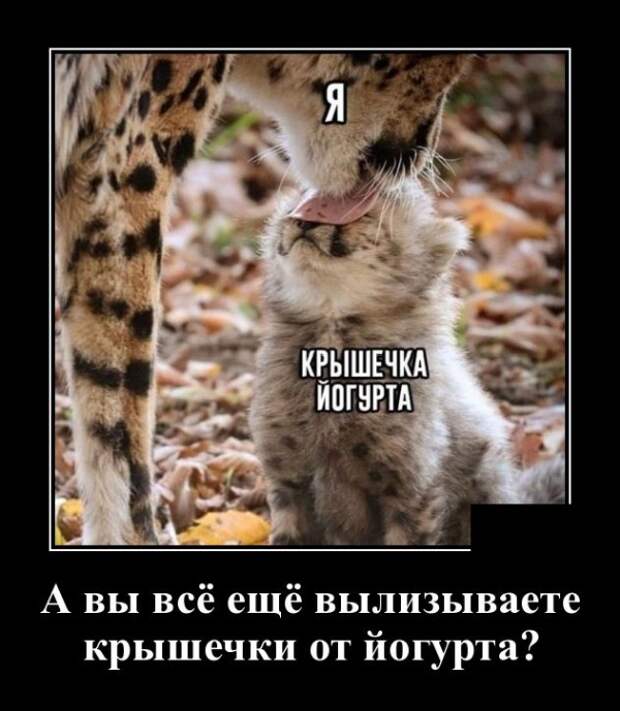 Демотиваторы (30 фото)