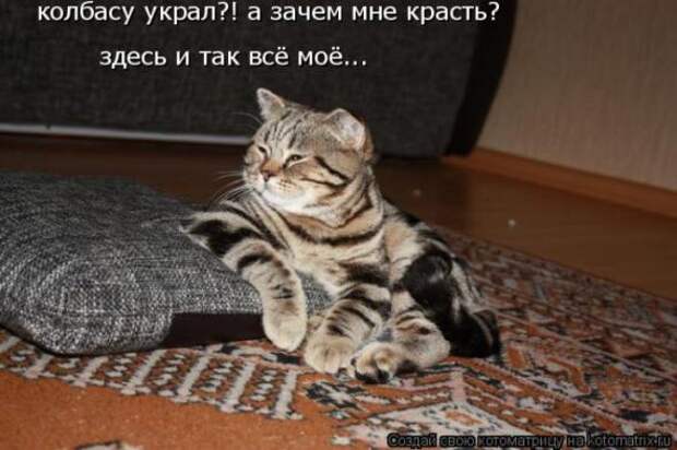 Котоматрицы (картинки с надписями)