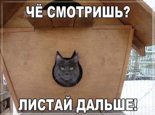 Смешная галерея фотоприколов  # 70