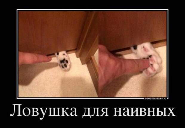 Прикольная пачка демотиваторов. Зимнее настроение Прикольная пачка демотиваторов. Зимнее настроение