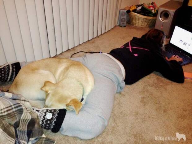 He had to get creative when he couldn't sit on my lap ;)