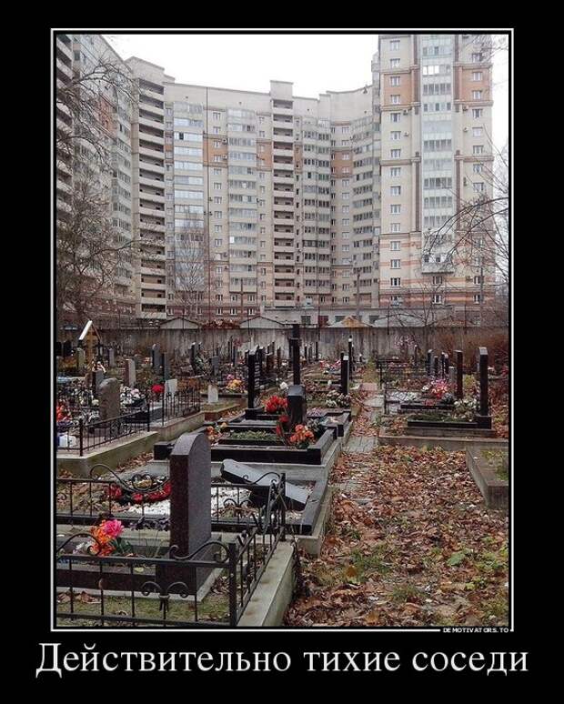 Подборка демотиваторов демотиватор, юмор
