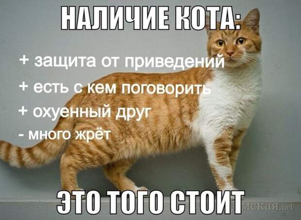 Прикольные картинки Прикольные картинки