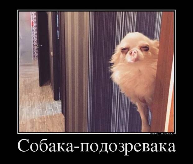 Свежих демотиваторов пост (27 шт)