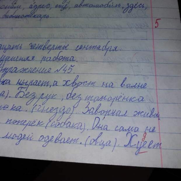Остроумные сочинения и не менее остроумные выходки новоявленных школьников