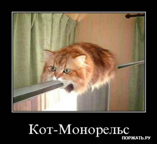 Очередная порция ржачных демотиваторов