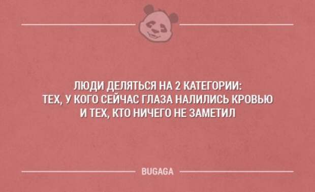 Картинки с прикольными надписями (14 шт)
