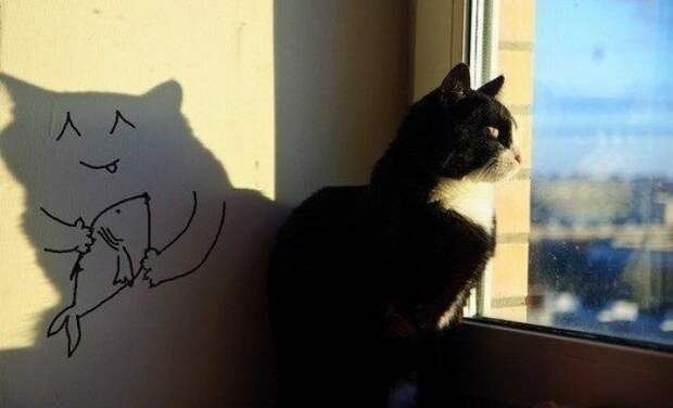 прощение кота