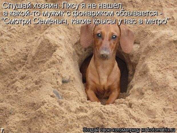 Диана Петрованова УОЛ