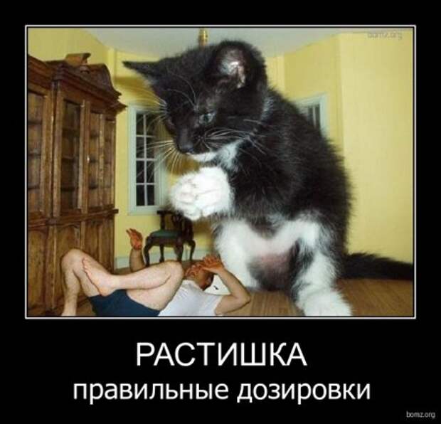 Демотиваторы, много новых и только прикольных.