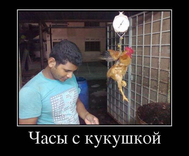 Cвежая порция демотиваторов Cвежая порция демотиваторов