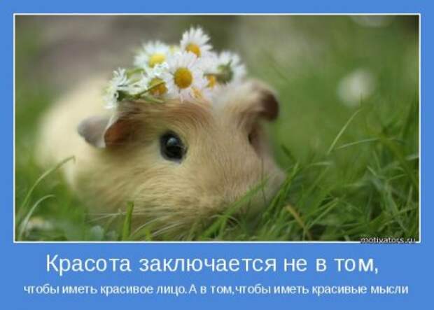 Привлекаем позитивных людей. Мотивация.