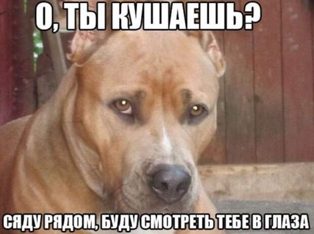 Классные картинки и фото для настроения (41 шт)