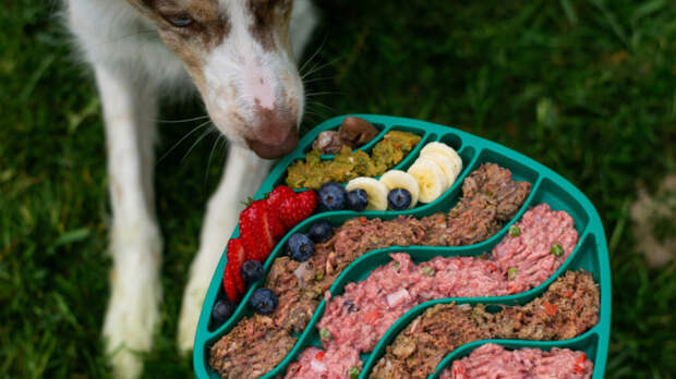 Фото Ayla Verschueren/Unsplash