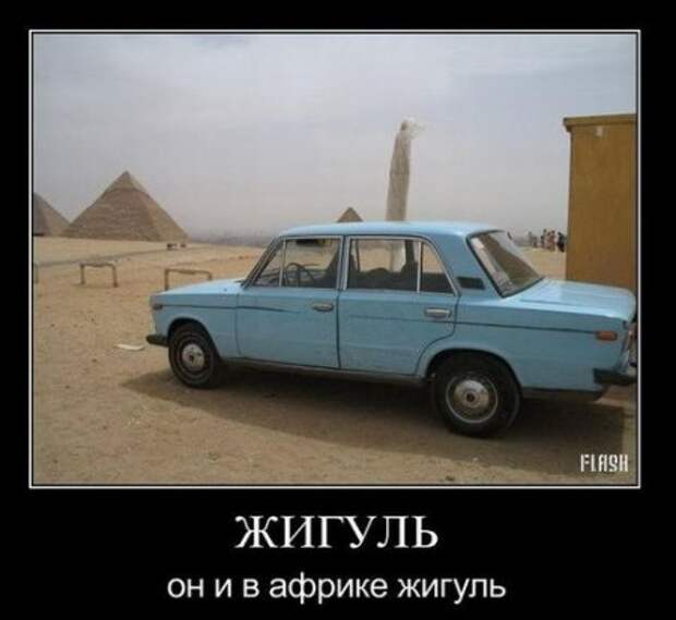 Демотиваторы классный юмор, позитив во всем.