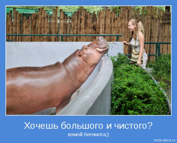 Позитивчик мотиваторы.