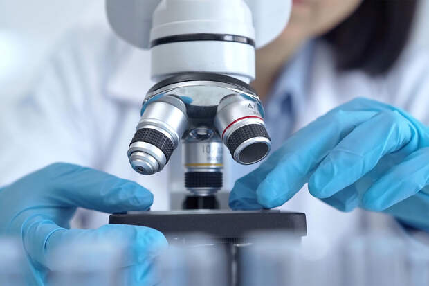 Россиян предупредили об опасности «Нипаха»