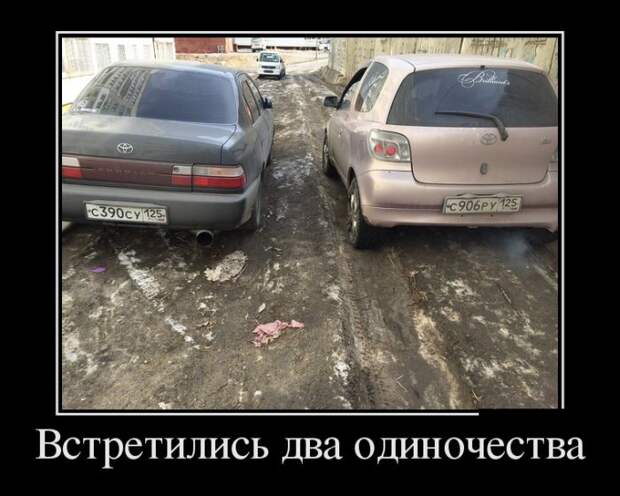 Подборка демотиваторов демотиватор, юмор