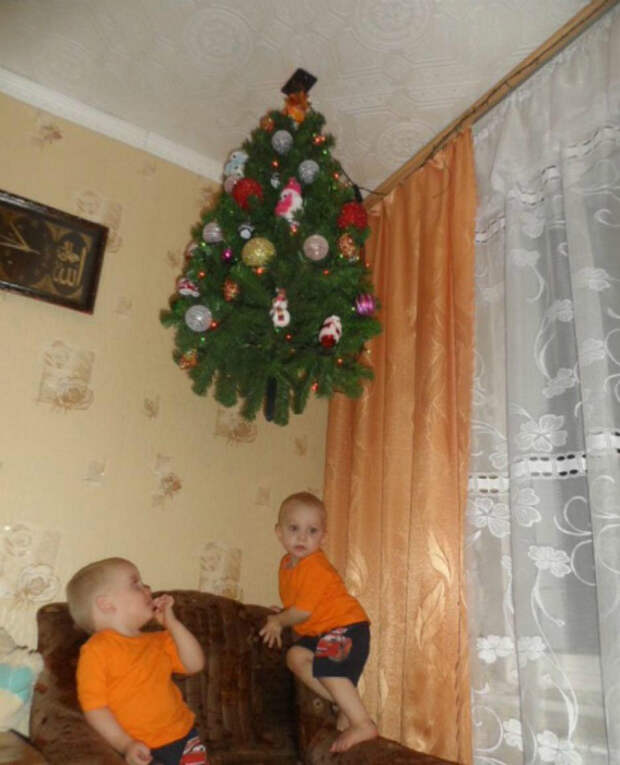 Операция по спасению елки.
