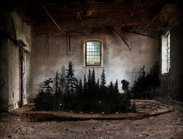 Перелесок. Автор: Suzanne Moxhay.