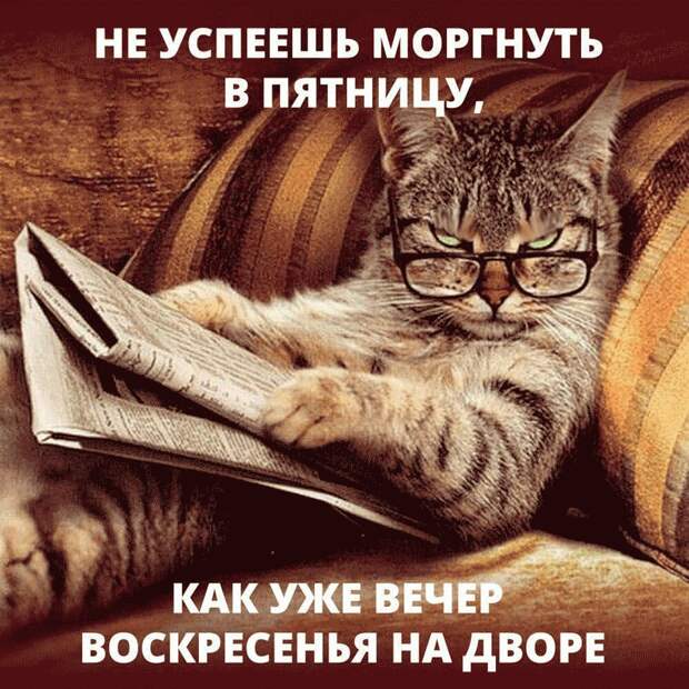 Было у царя три сына. Пришло время, и стало у царя девять внуков...