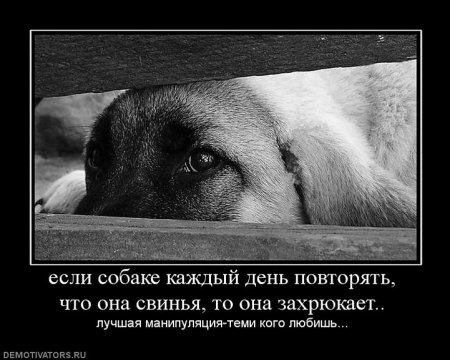 Демотиваторы о чувствах и любви.