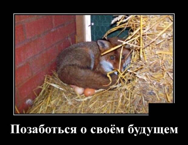 Демотиваторы (30 фото)
