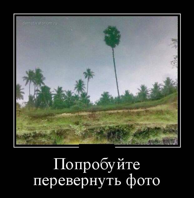 Демотиваторы (30 фото)