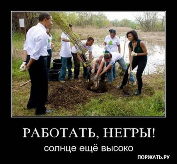 Демы как они есть
