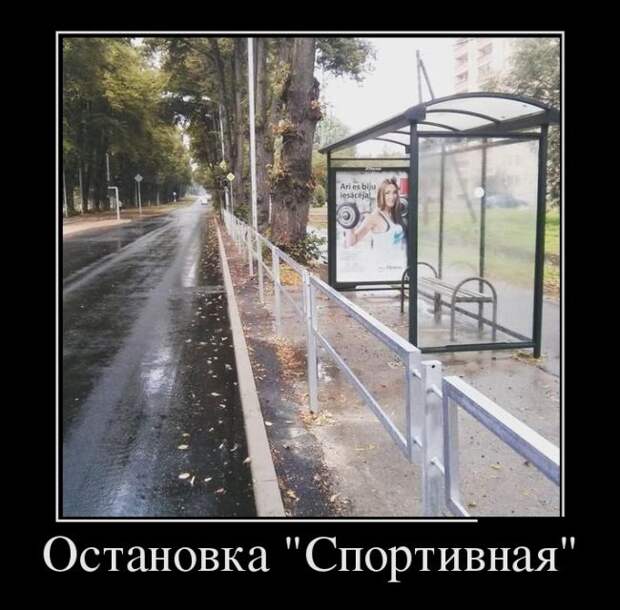 Демотиваторы (30 фото)
