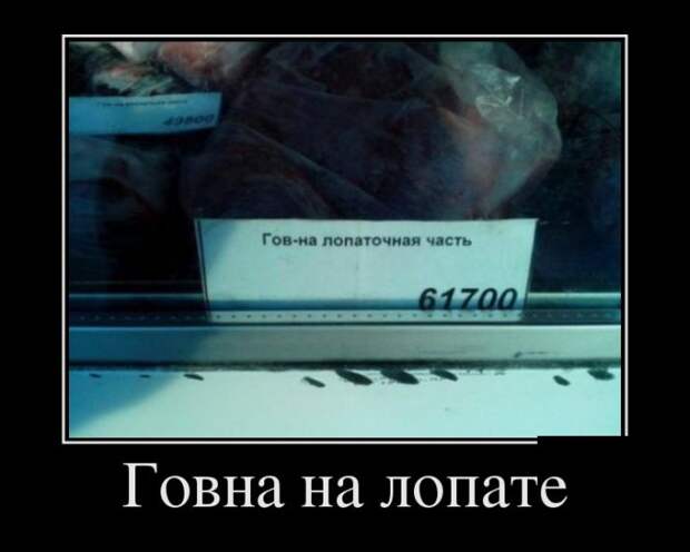 Демотиваторы
